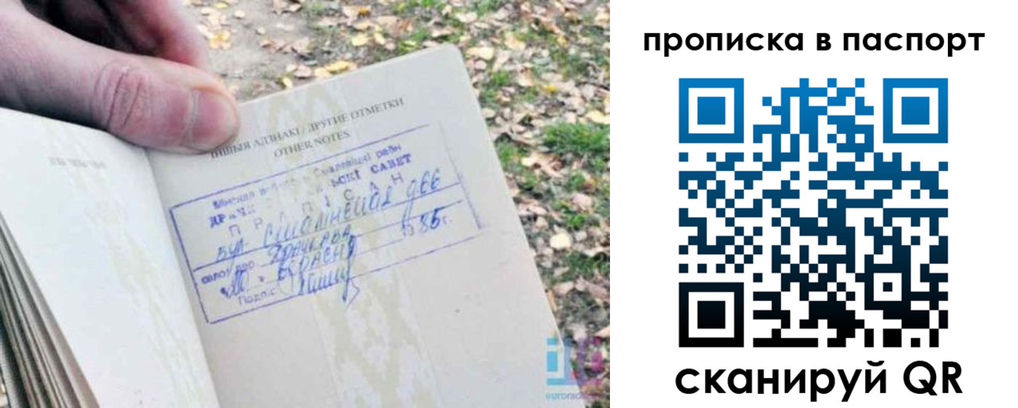 купить прописку в Няндоме